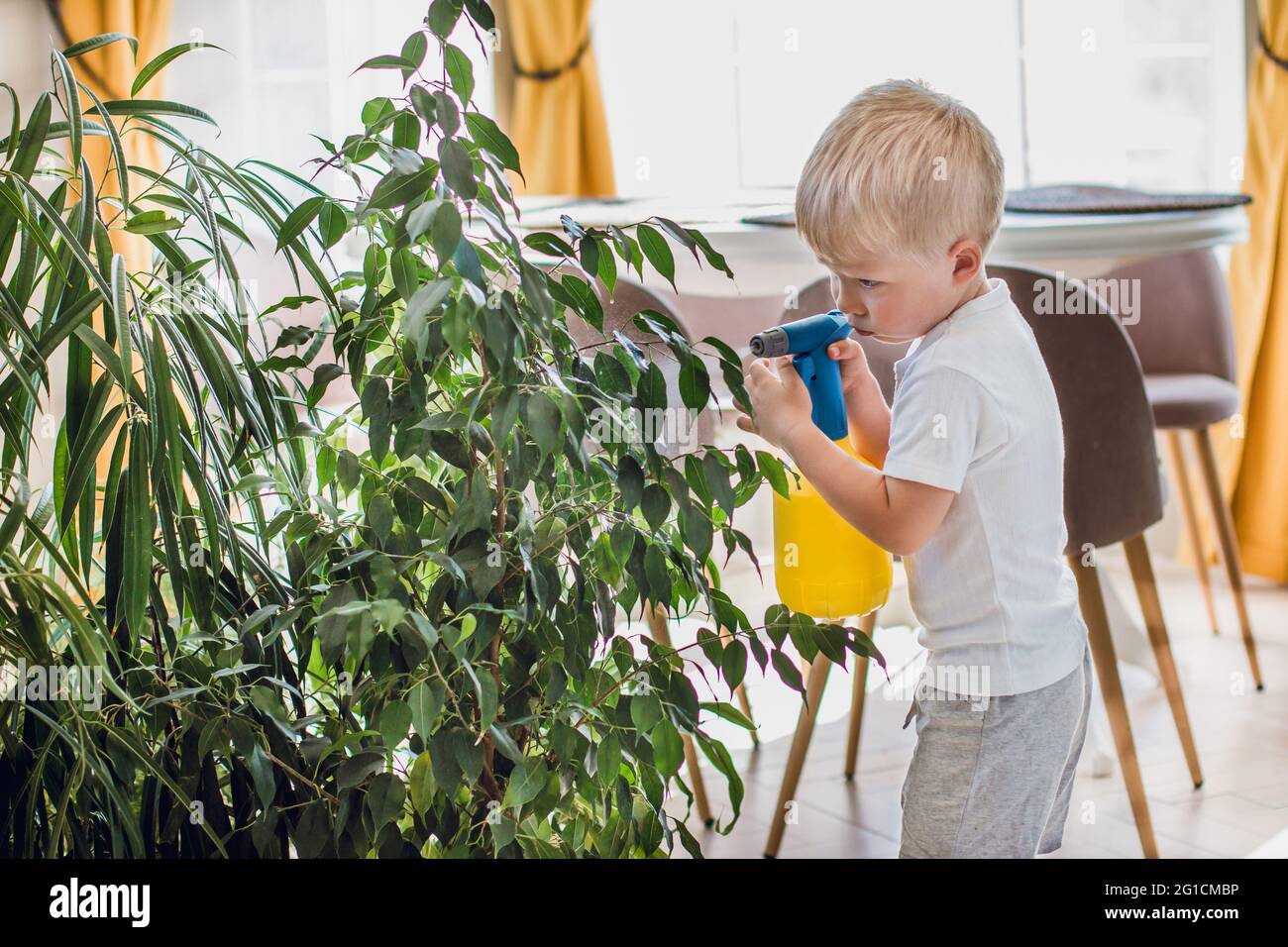 Europäische junge Blondine sprüht Innenpflanzen, umweltfreundliche, selbst wässernde Blumentöpfe, Innengarten Stockfoto