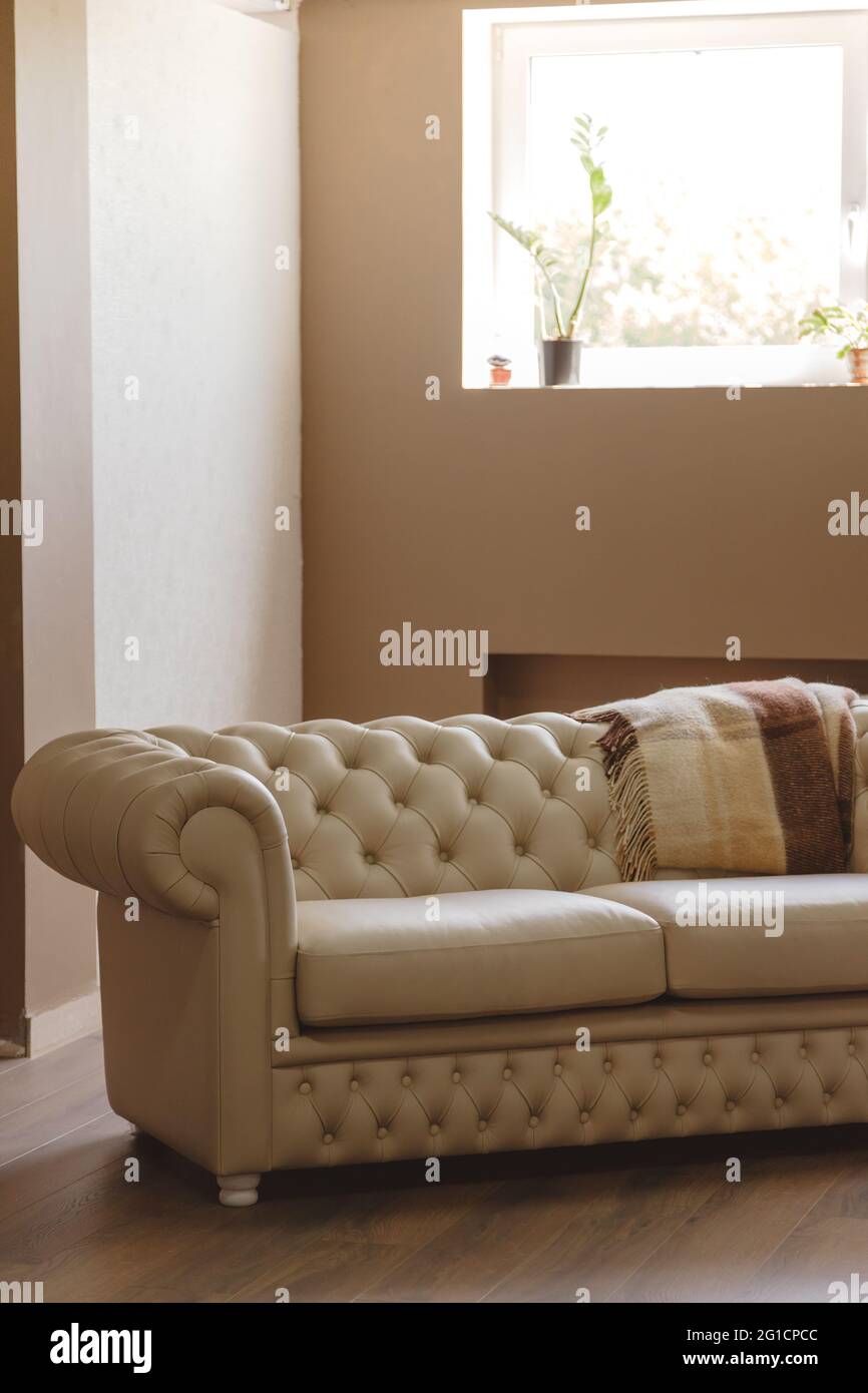 Beige gestepptes Sofa im Vintage-Stil im modernen Wohnzimmer. Stockfoto