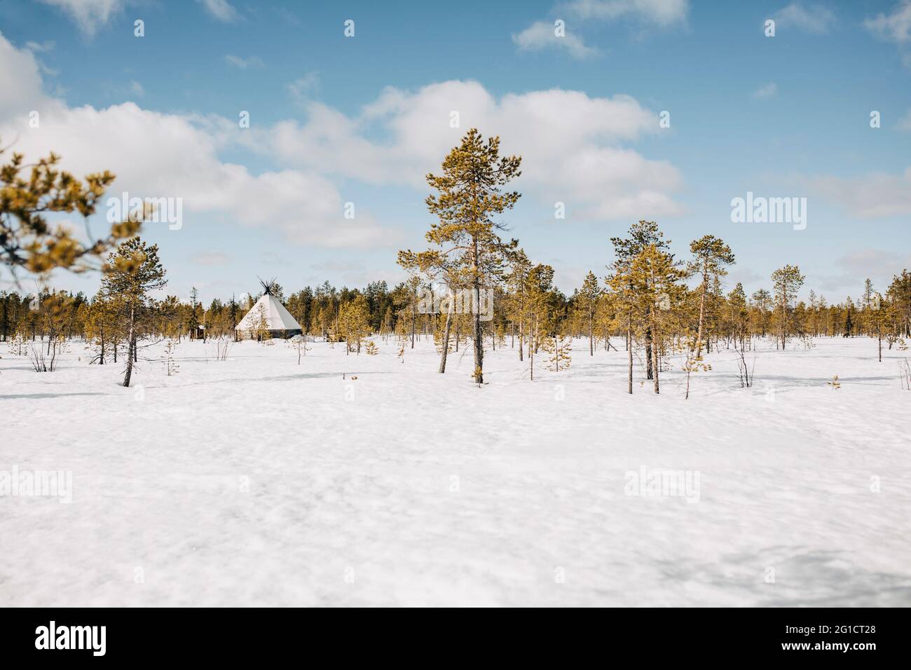 Ferienhaus inmitten von Bäumen auf Schnee im Winter Stockfoto