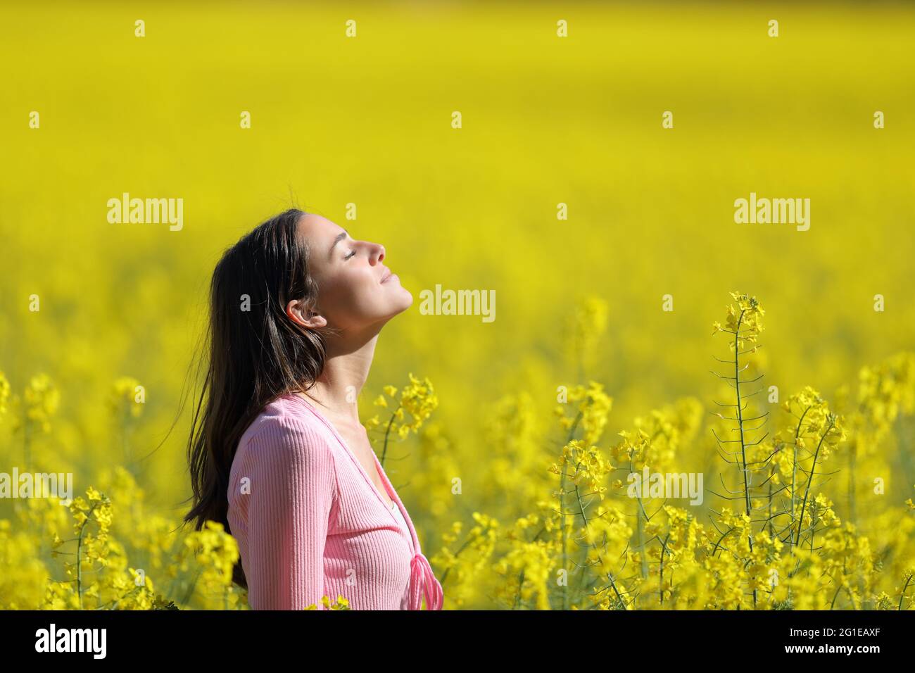 Profil einer entspannten Frau, die im Frühling in einem gelben Feld tief frische Luft atmet Stockfoto