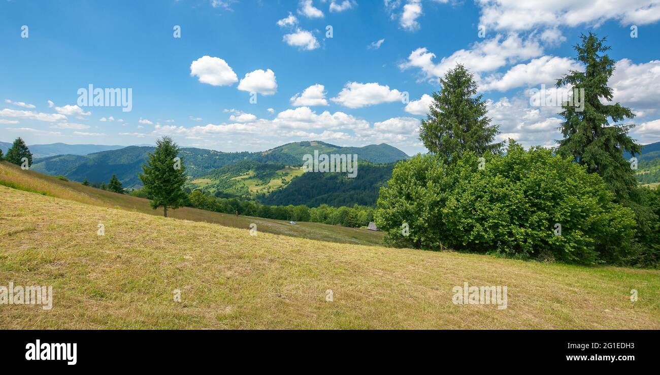 Heufeld in den Bergen. Wunderbare ländliche Landschaft. Sonniger Sommertag. Wolken am Himmel Stockfoto