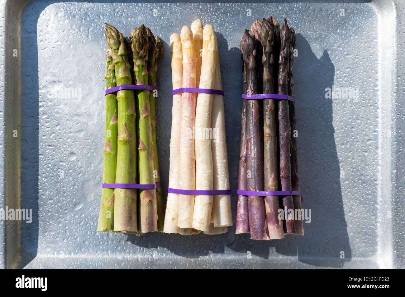 Grüner, violetter und weißer Spargel sprießt auf Metallbrett. Draufsicht flach liegend. Food-Fotografie Stockfoto