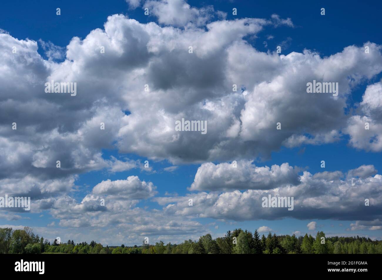 Cumulus Wolken (Cumulus) Wolken y Stockfoto