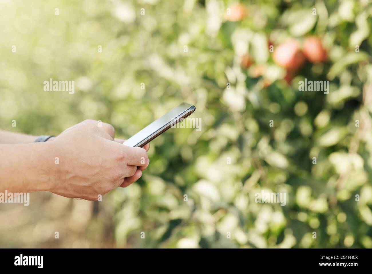 Junger Geschäftsmann mit Gerät arbeitet auf Öko-Farm und macht Foto Stockfoto