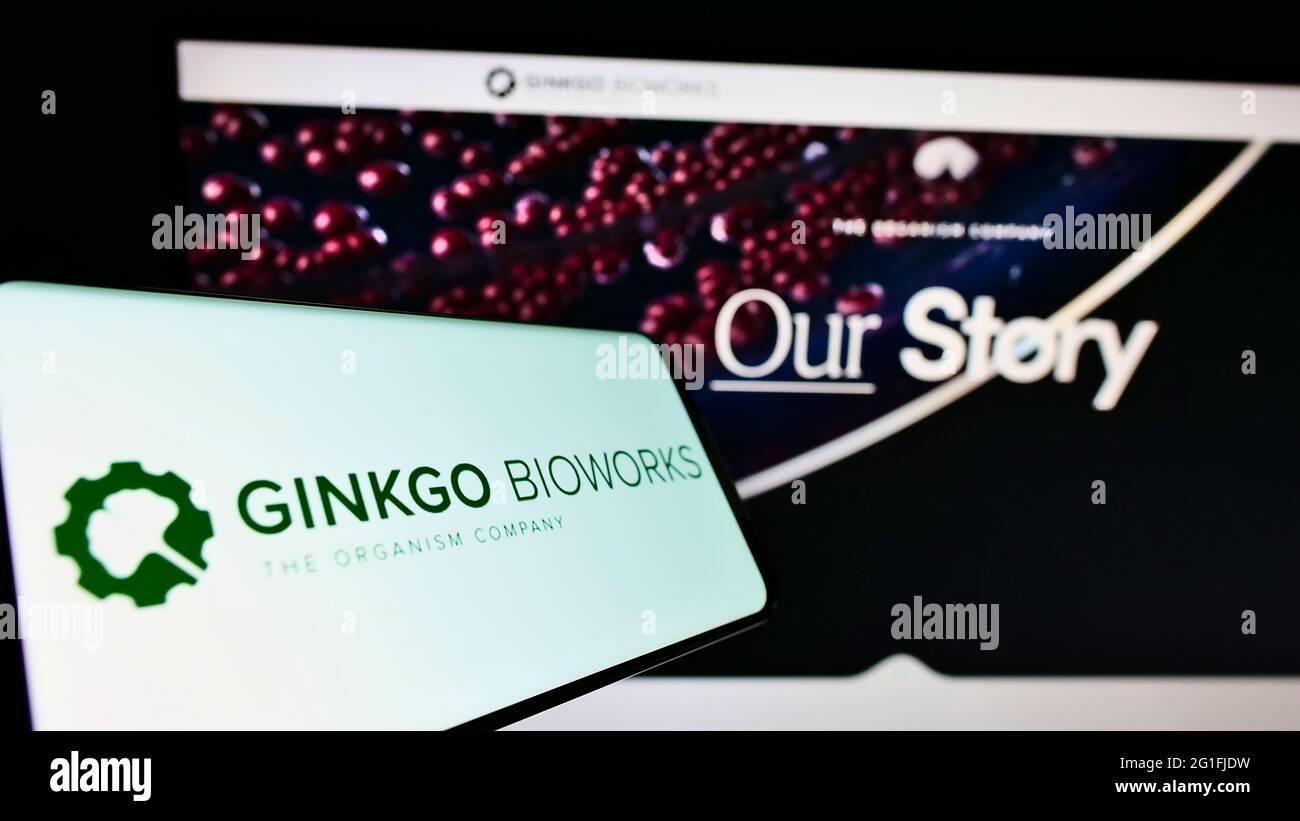 Handy mit Logo des US-Biotechnologie-Unternehmens Ginkgo Bioworks Inc. Auf dem Bildschirm vor der Business-Website. Konzentrieren Sie sich auf die Mitte rechts des Telefondisplays. Stockfoto