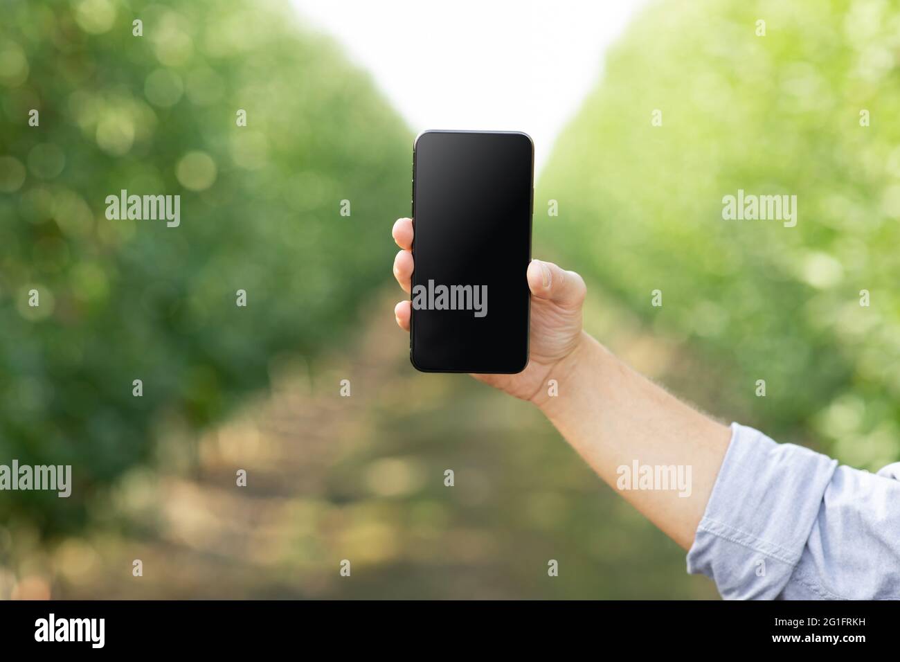 Neue App für Betriebsmanagement, Angebot, Werbung und Öko-Farm Stockfoto
