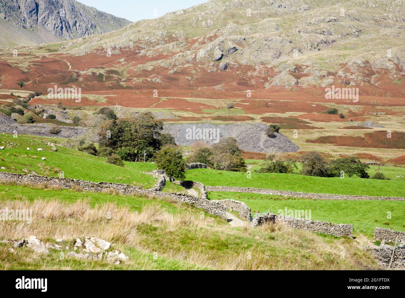 Steinbruch Beute Haufen in der Nähe von Torver Beck unter dem alten Mann von Coniston der Lake District Cumbria England Stockfoto