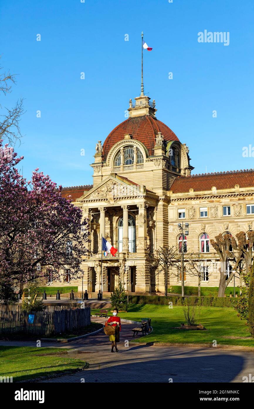 Frankreich, Bas Rhin, Straßburg, Neustadt aus dem deutschen Zeitraum als Weltkulturerbe von der UNESCO, Place de la Republique, Magnolie in voller Blüte, der Palais du Rhin Kaiserpalast (ehemaligen) Stockfoto