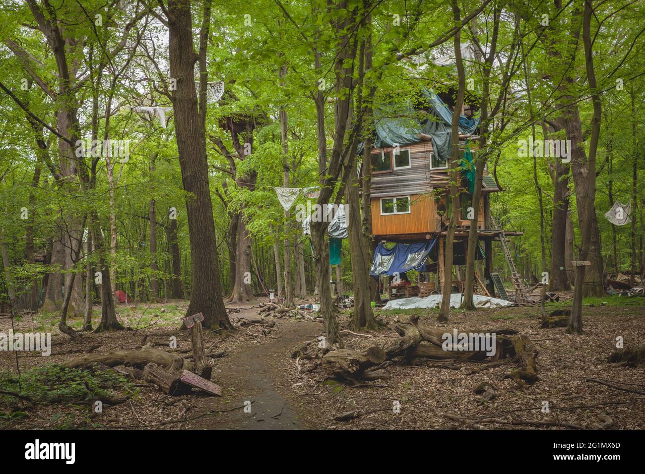 Details Blick auf das Protestcamp der Naturschutzaktivisten im Hambacher Wald Stockfoto