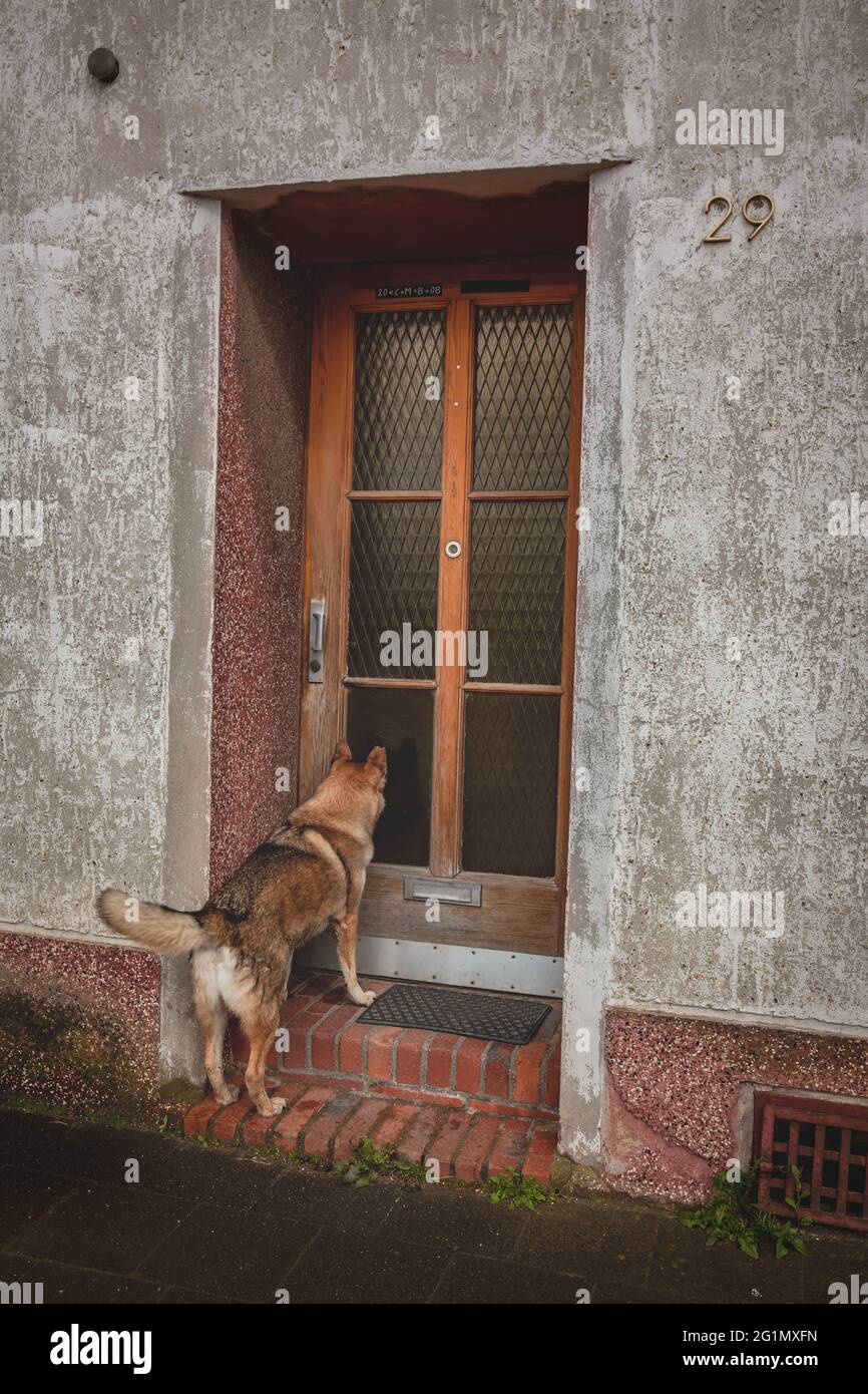 Detailansicht des verlassenen, umgesiedelten Dorfes Manheim - alt für das Tagebau Hambach Stockfoto