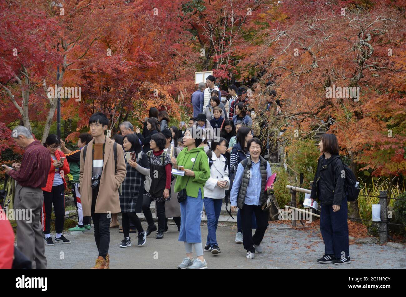 KYOTO, JAPAN - 10. Dez 2019: Kyoto, Japan - 24. Nov 2019: Menschen besuchen die Gärten von Eikando Zenrinji in Kyoto, Japan. Der Jodo-Buddhismus-Tempel geht zurück auf Stockfoto