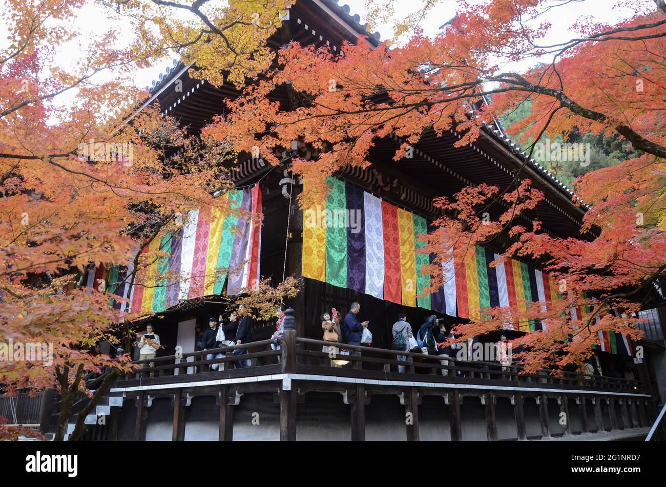 KYOTO, JAPAN - 10. Dez 2019: Kyoto, Japan - 24. Nov 2019: Menschen besuchen die Gärten von Eikando Zenrinji in Kyoto, Japan. Der Jodo-Buddhismus-Tempel geht zurück auf Stockfoto