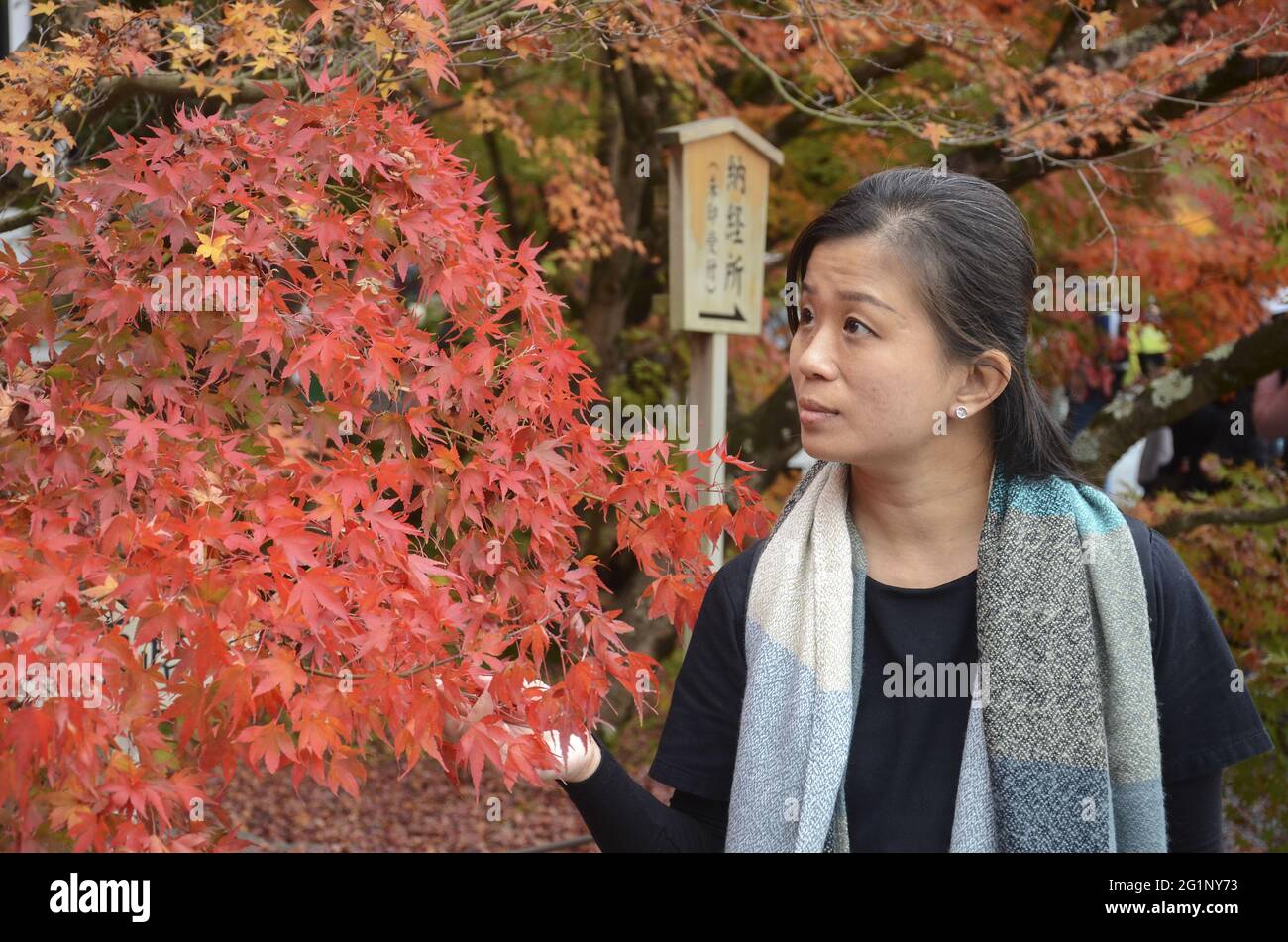 KYOTO, JAPAN - 10. Dez 2019: Kyoto, Japan - 24. Nov 2019: Menschen besuchen die Gärten von Eikando Zenrinji in Kyoto, Japan. Der Jodo-Buddhismus-Tempel geht zurück auf Stockfoto