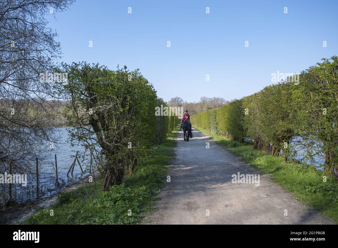 Frankreich, Yvelines (78), regionaler Naturpark Haute Valle de Chevreuse, Les Brviaires, die Teiche Hollands, Reiterwanderungen zwischen den Teichen Stockfoto