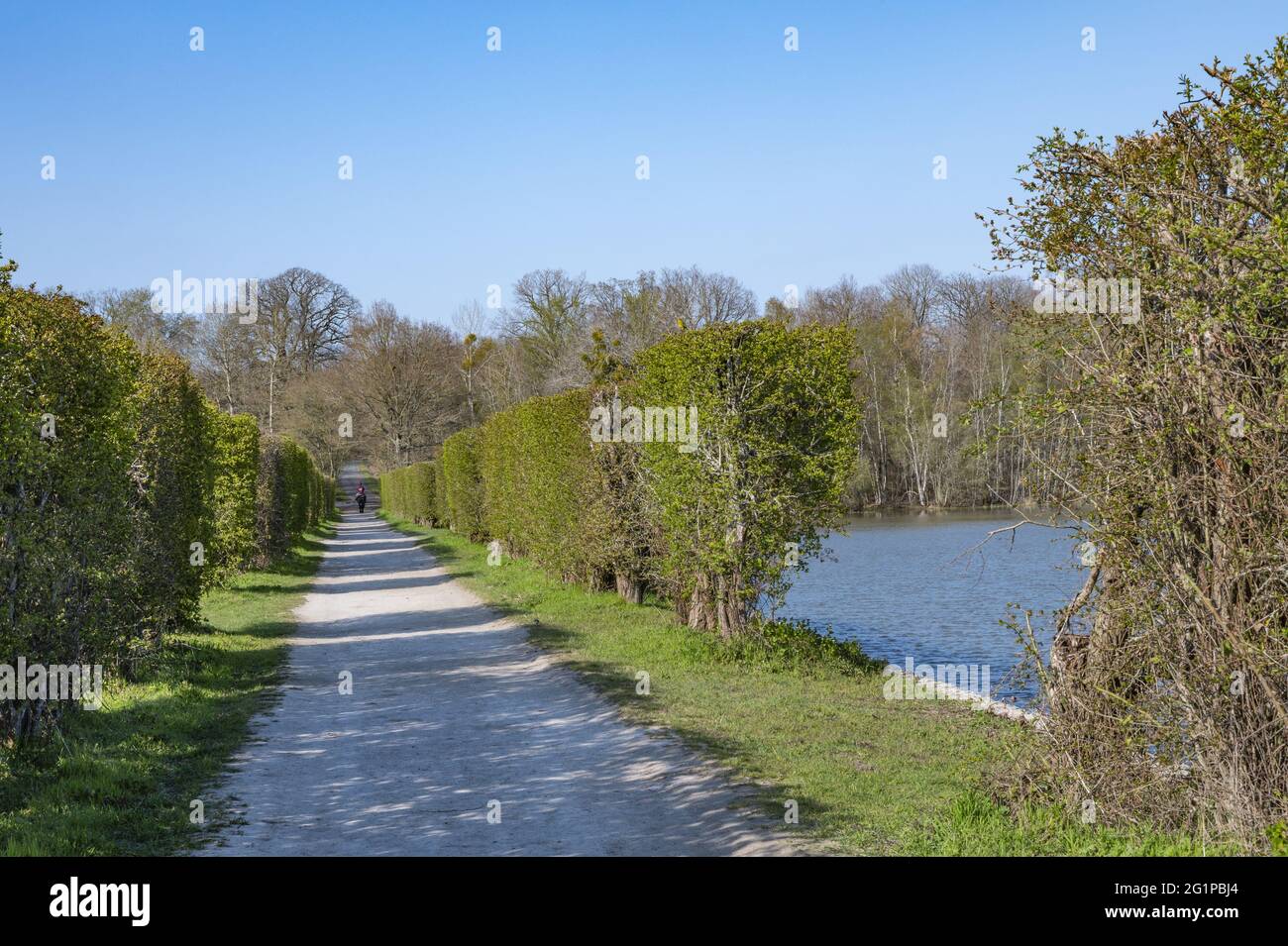 Frankreich, Yvelines (78), regionaler Naturpark Haute Valle de Chevreuse, Les Brviaires, die Teiche Hollands, Reiterwanderungen zwischen den Teichen Stockfoto