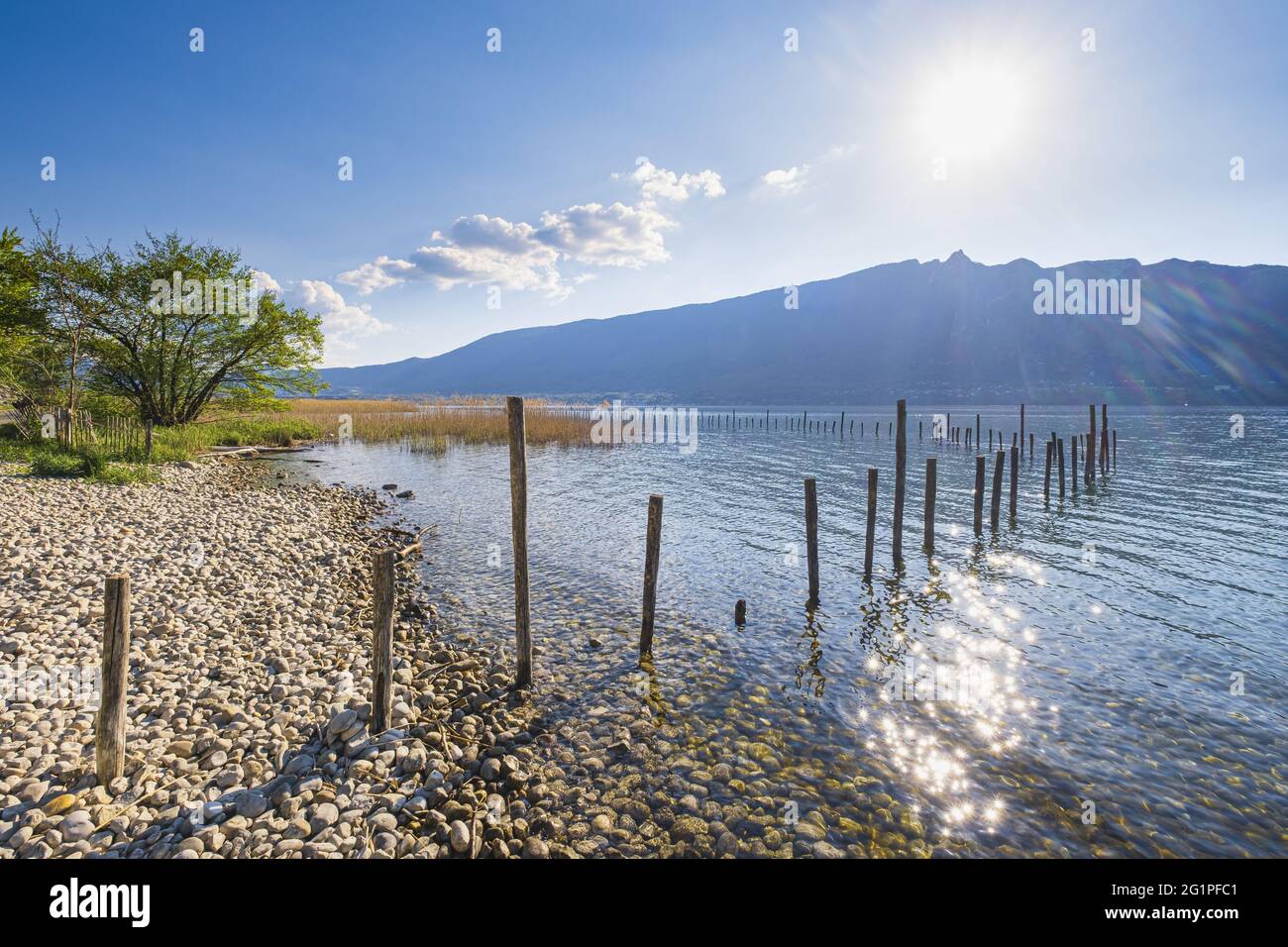 Frankreich, Savoie, Treserve, die Ufer des Bourget-Sees, Dent du Chat (alt : 1390 m) im Hintergrund Stockfoto