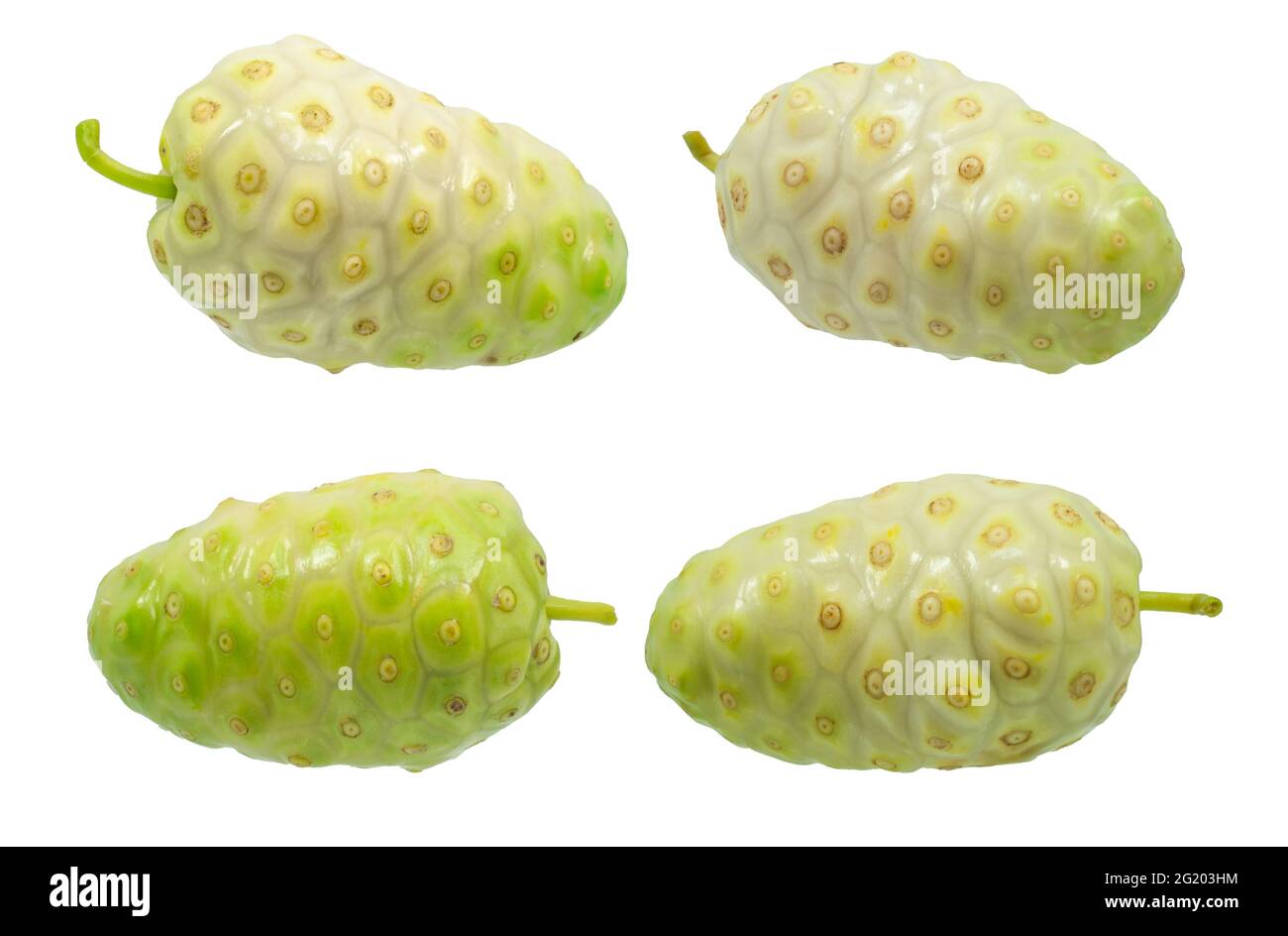 Oder Morinda Noni Früchte isoliert auf weißem Stockfoto