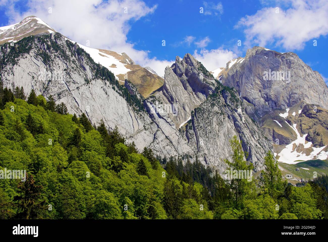 Bergpanorama in Wildhaus von der Straße 16, Kanton St. Gallen, Schweiz. Stockfoto