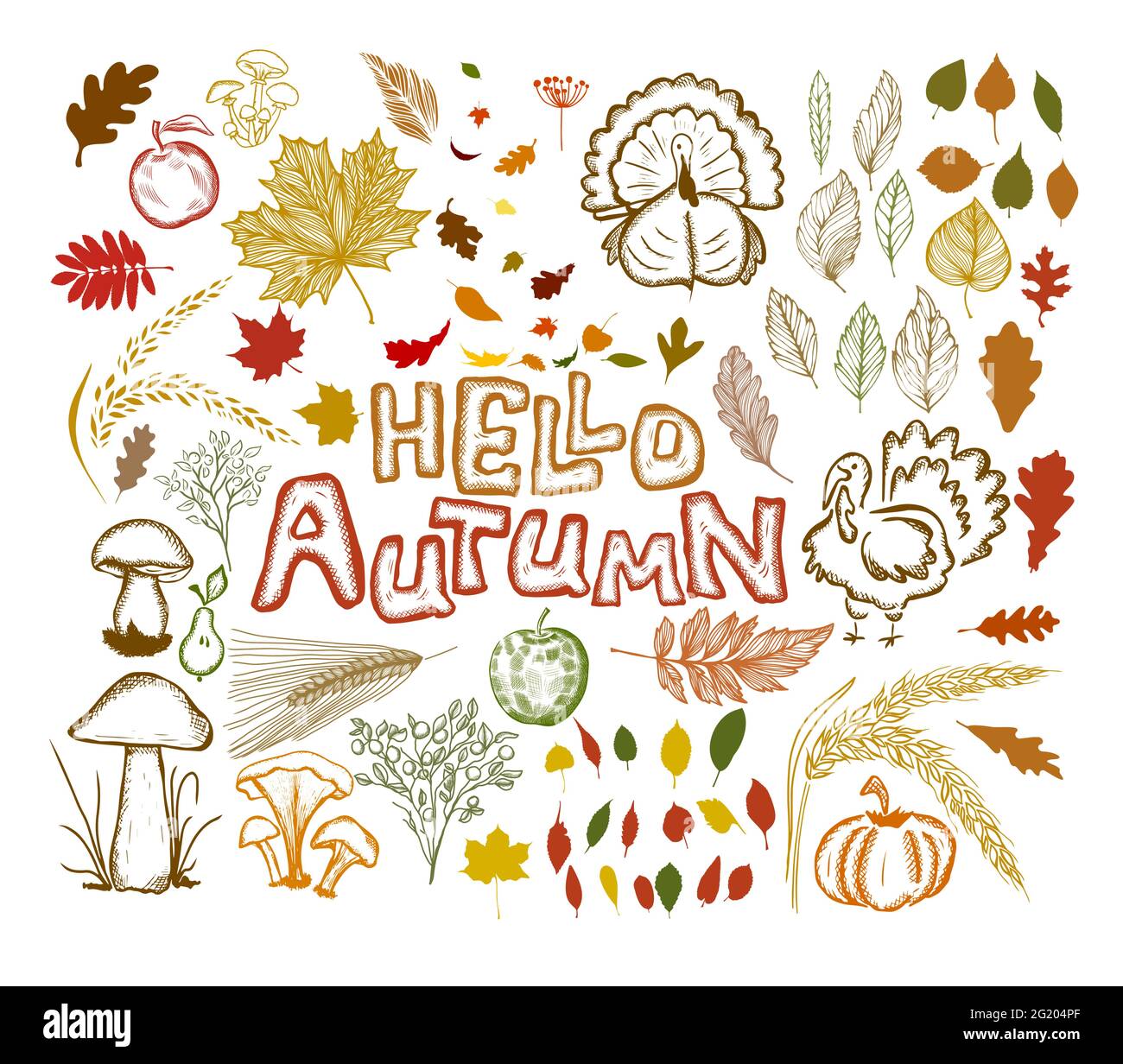 Hallo Herbst. Ein Set aus Herbstartikeln. Vektorgrafik Stock Vektor