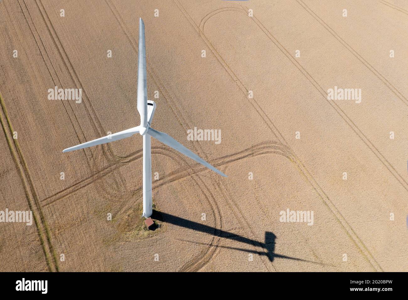 Eine Windturbine, die sauberen Strom produziert, gebaut auf einem Feld in Skanderborg, Dänemark Stockfoto