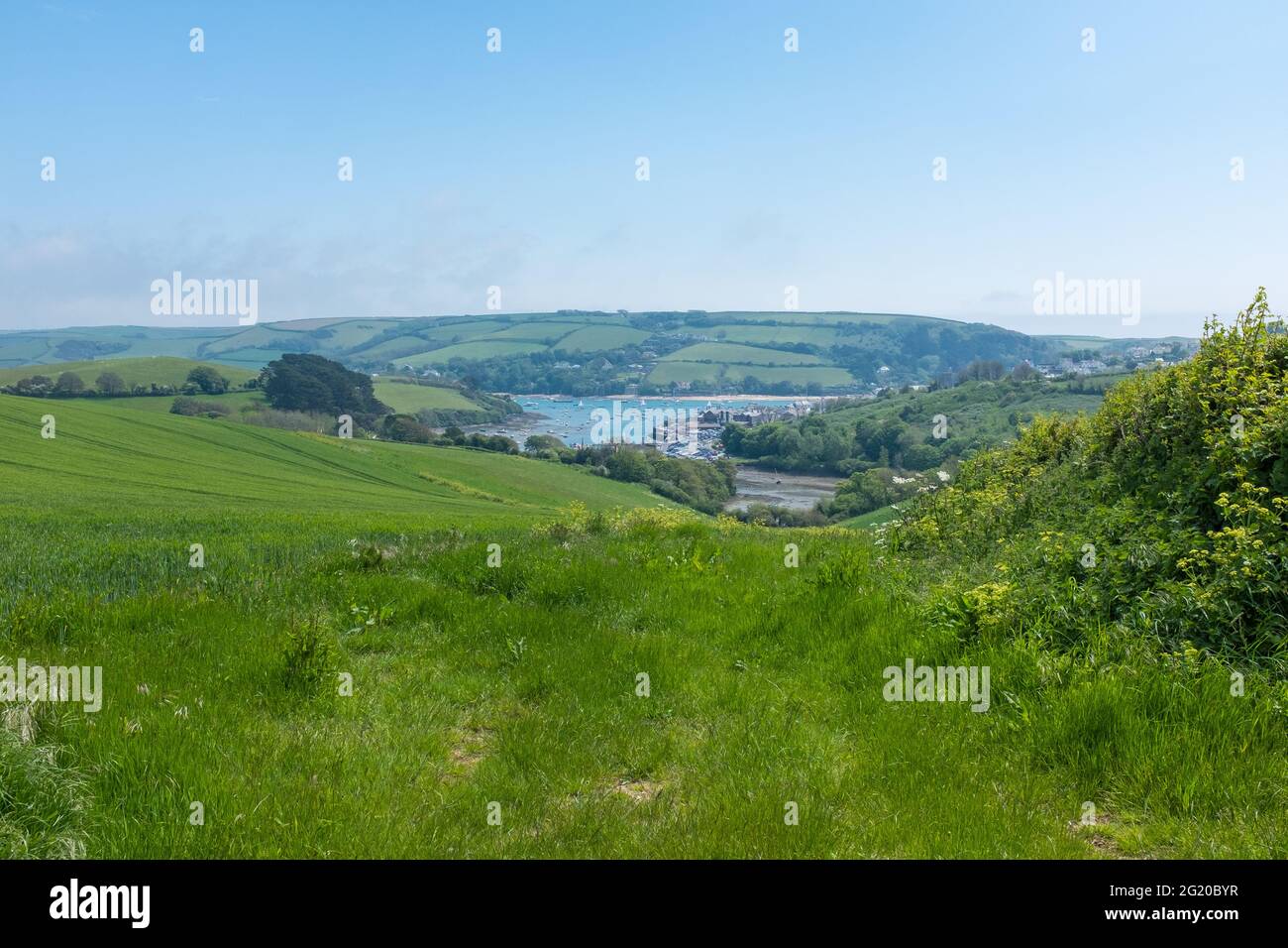 Blick von Feldern auf die Salcombe-Mündung Stockfoto