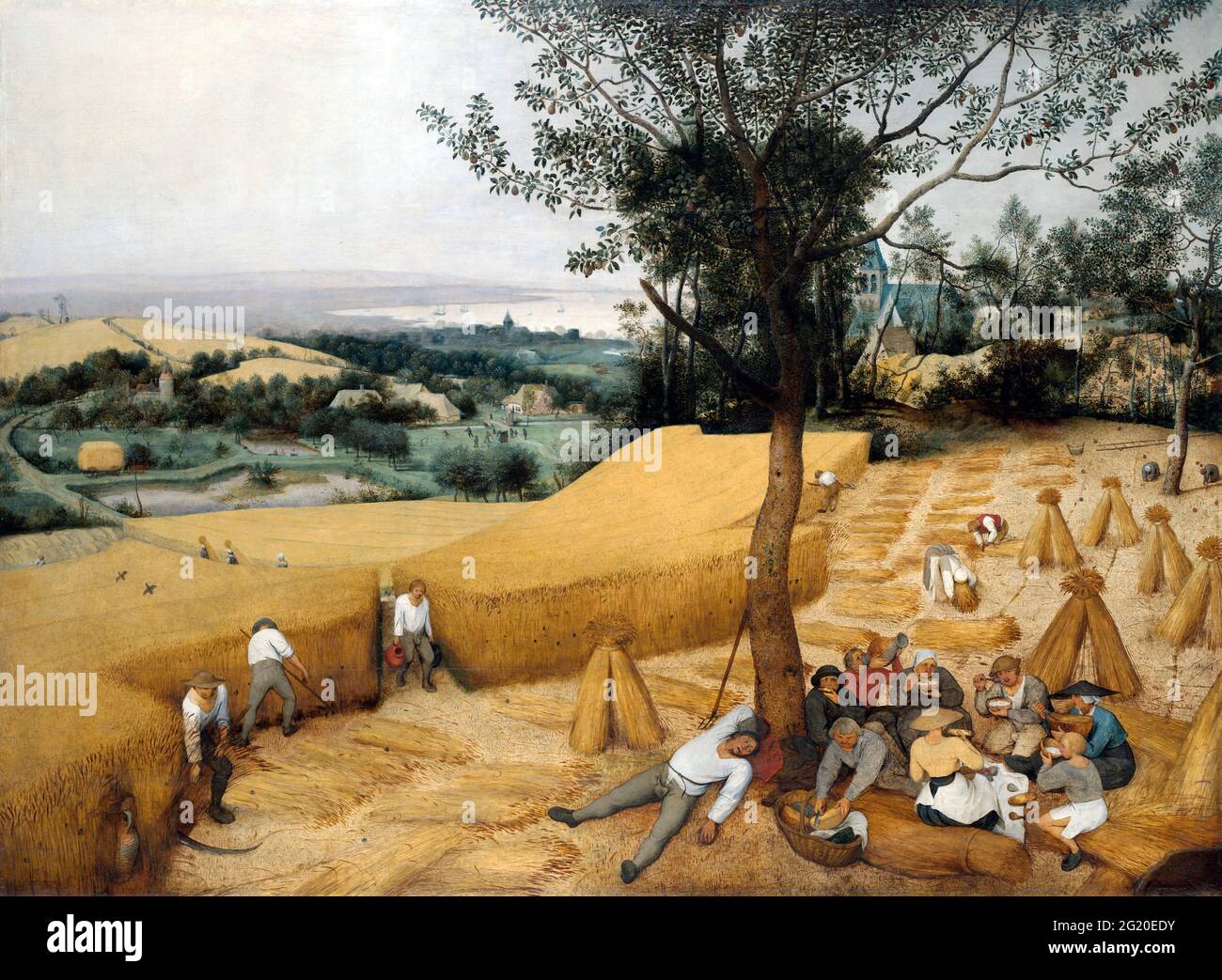 The Harvesters von Pieter Bruegel dem Älteren (ca. 1525-1569), Öl auf Holz, 1565 Stockfoto