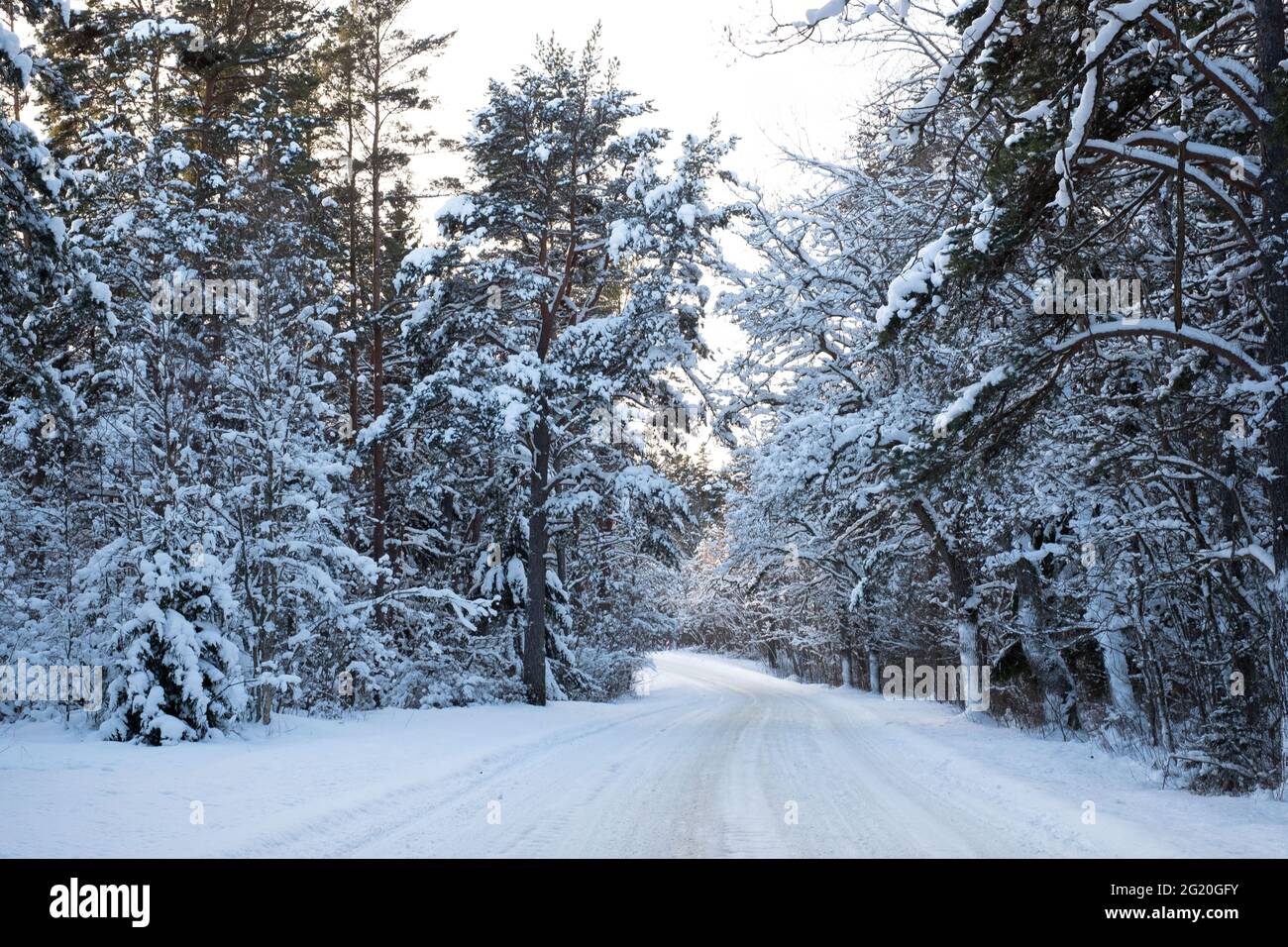 Erstaunliche weiße Winterlandschaft. Sonniger Wintertag. Stockfoto