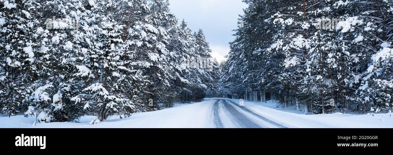 Erstaunliche weiße Winterlandschaft. Sonniger Wintertag. Stockfoto