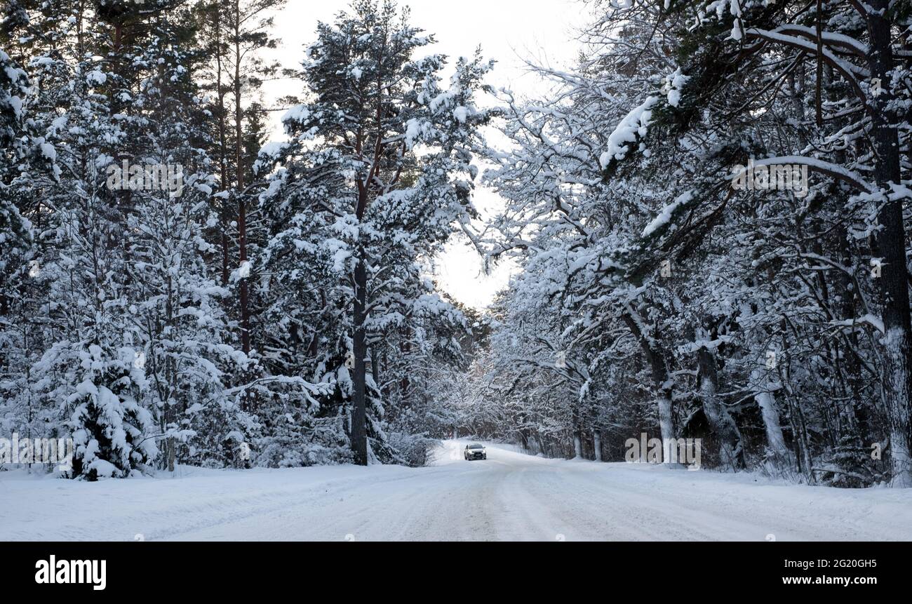 Erstaunliche weiße Winterlandschaft. Sonniger Wintertag. Stockfoto