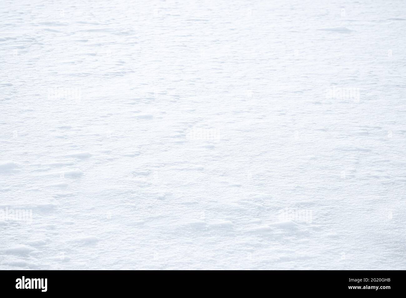 Weißer, schneebedeckter Boden. Natur im Winterschlaf. Stockfoto