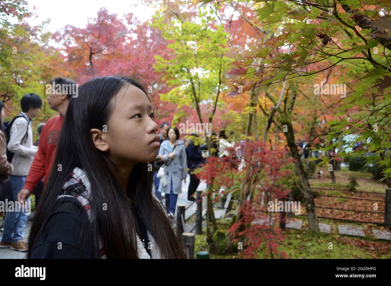 KYOTO, JAPAN - 10. Dez 2019: Kyoto, Japan - 24. Nov 2019: Menschen besuchen die Gärten von Eikando Zenrinji in Kyoto, Japan. Der Jodo-Buddhismus-Tempel geht zurück auf Stockfoto