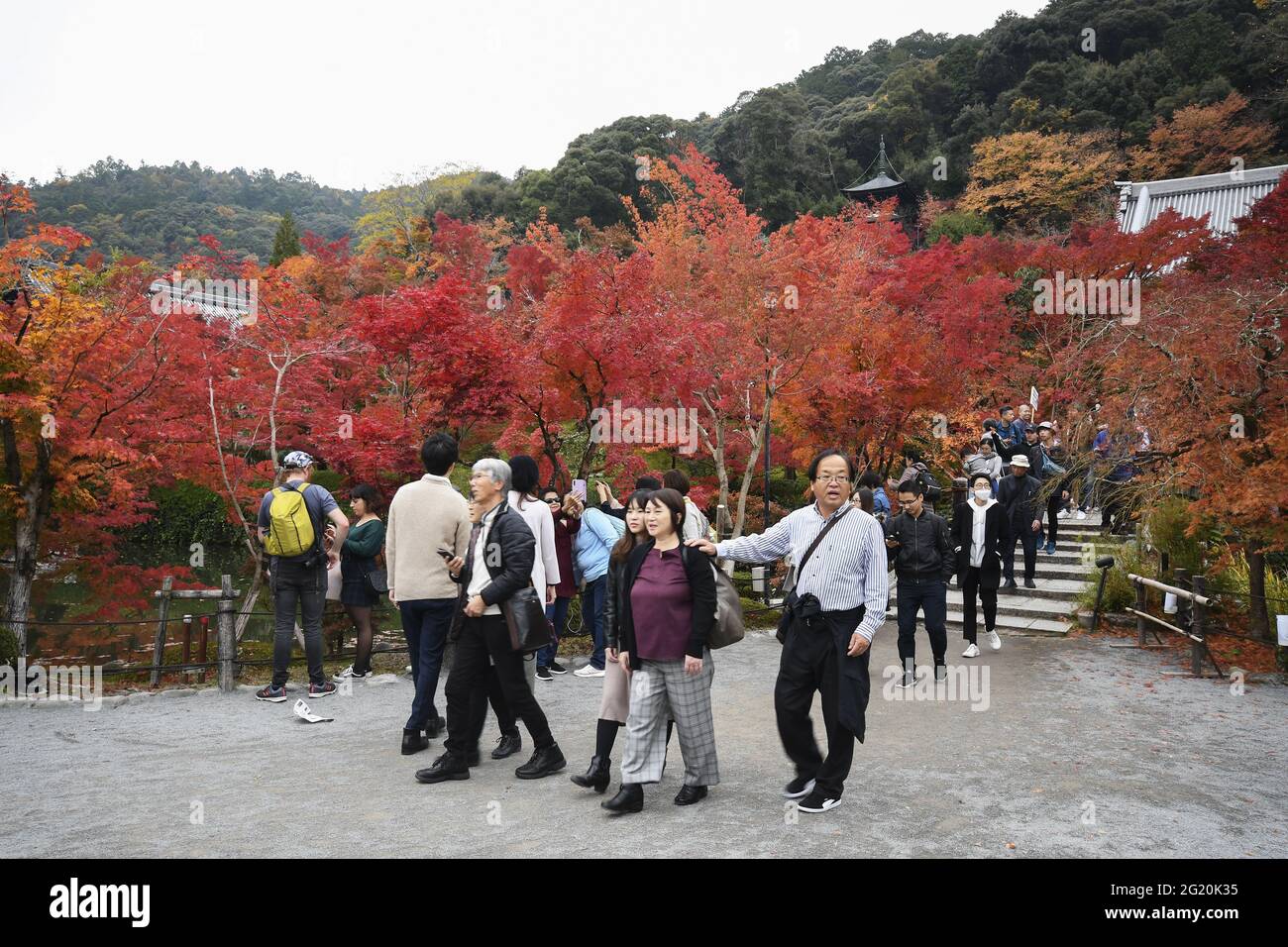 KYOTO, JAPAN - 10. Dez 2019: Kyoto, Japan - 24. Nov 2019: Menschen besuchen die Gärten von Eikando Zenrinji in Kyoto, Japan. Der Jodo-Buddhismus-Tempel geht zurück auf Stockfoto