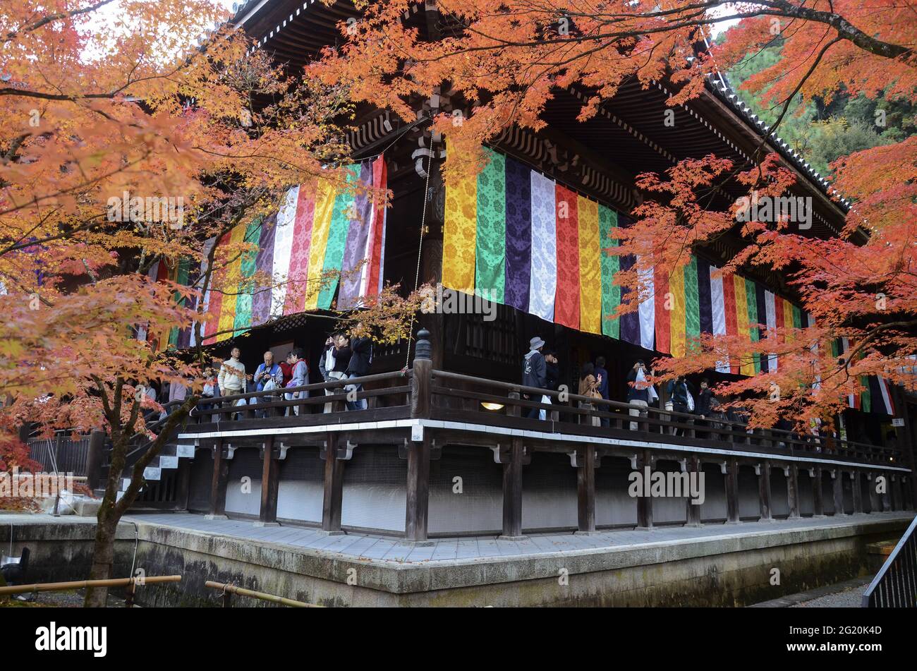 KYOTO, JAPAN - 10. Dez 2019: Kyoto, Japan - 24. Nov 2019: Menschen besuchen die Gärten von Eikando Zenrinji in Kyoto, Japan. Der Jodo-Buddhismus-Tempel geht zurück auf Stockfoto