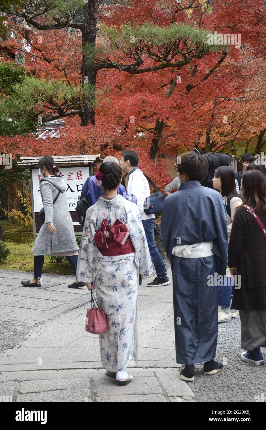 KYOTO, JAPAN - 10. Dez 2019: Kyoto, Japan - 24. Nov 2019: Menschen besuchen die Gärten von Eikando Zenrinji in Kyoto, Japan. Der Jodo-Buddhismus-Tempel geht zurück auf Stockfoto