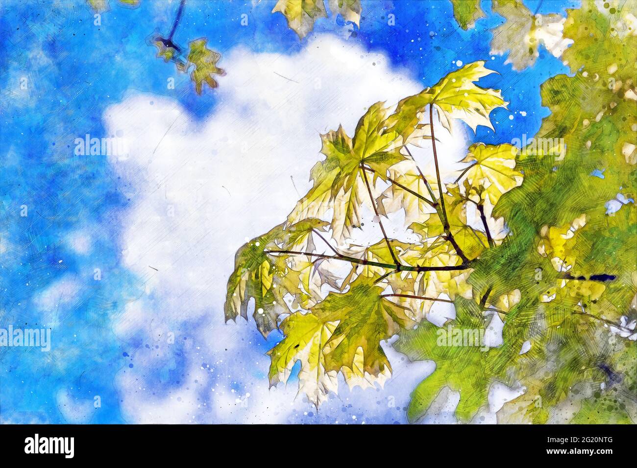 Ahornbaum mit Ästen mit grünen und gelben Blättern mit Himmel im Hintergrund - digital generiertes Bild. Stockfoto