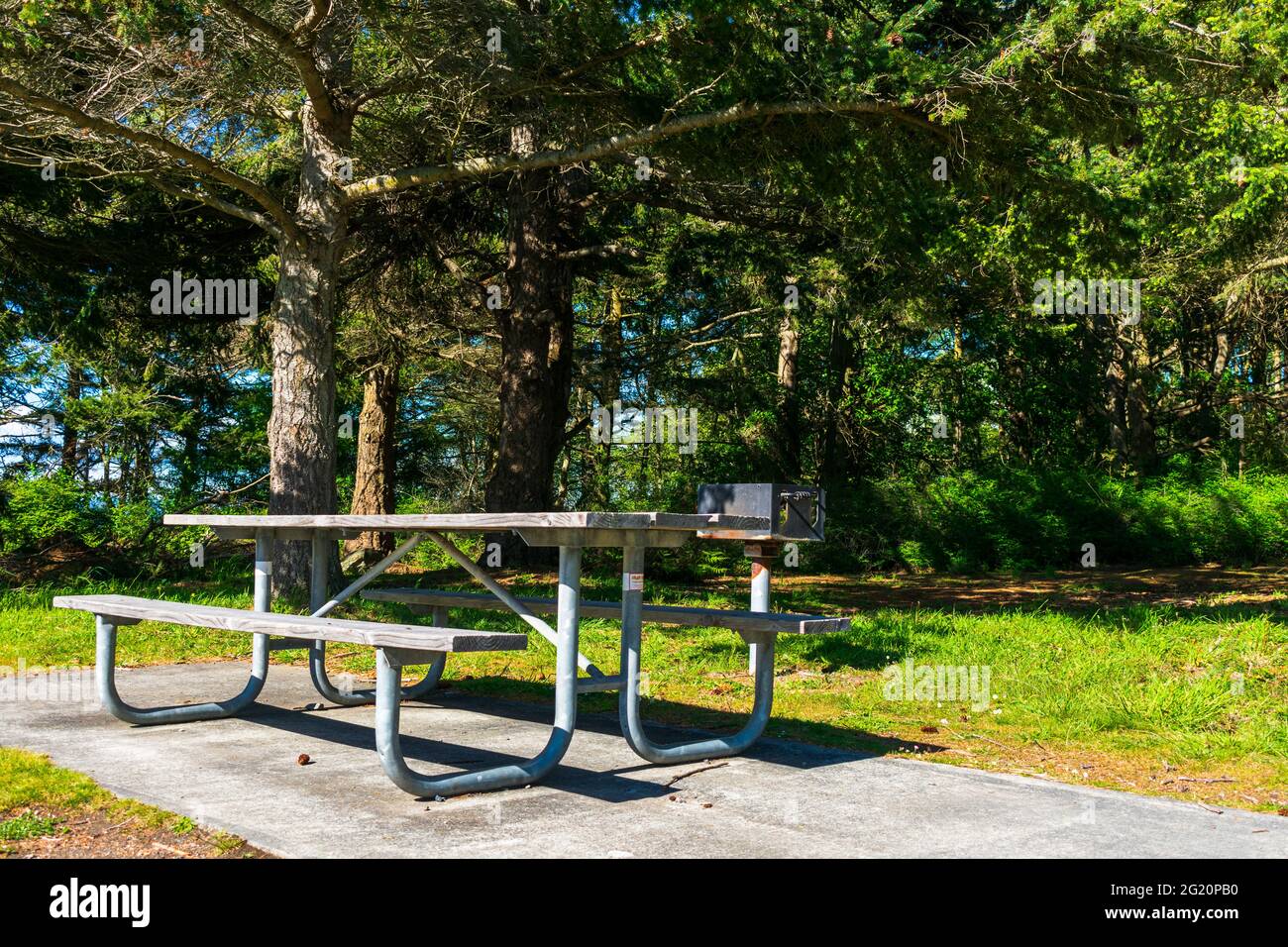 Ein Picknicktisch sitzt mit einem Grill auf einer Betonplatte in einem Park im Frühling. Washington, USA Stockfoto