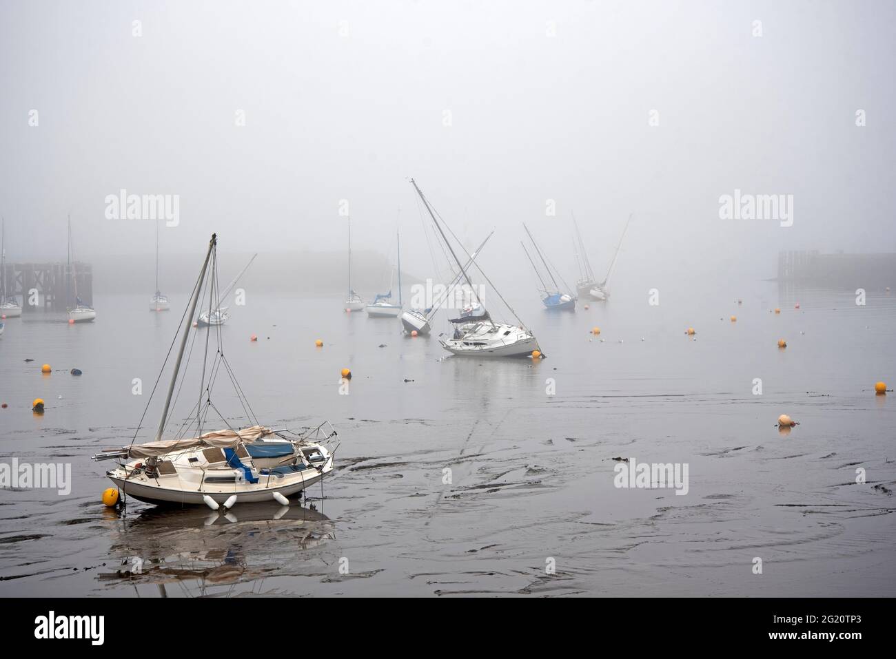 East Coast haar oder Meeresnebel im Granton Harbour am Firth of Forth, Edinburgh, Schottland, Großbritannien. Stockfoto