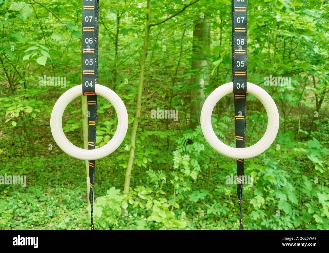Turnringe mit nummerierten Trägern, die in einem Park hängen, selektiver Fokus. Stockfoto