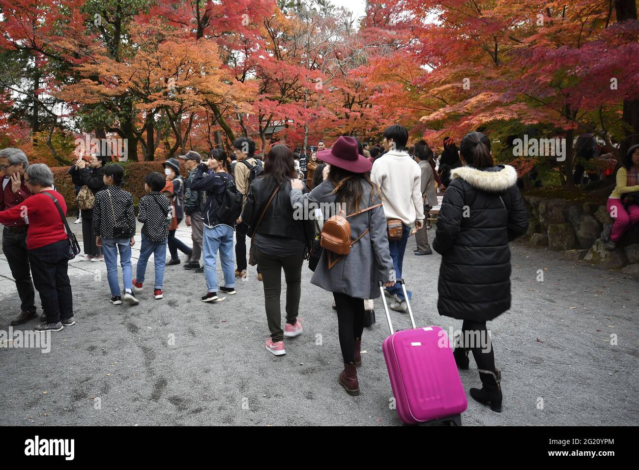 KYOTO, JAPAN - 10. Dez 2019: Kyoto, Japan - 24. Nov 2019: Menschen besuchen die Gärten von Eikando Zenrinji in Kyoto, Japan. Der Jodo-Buddhismus-Tempel geht zurück auf Stockfoto