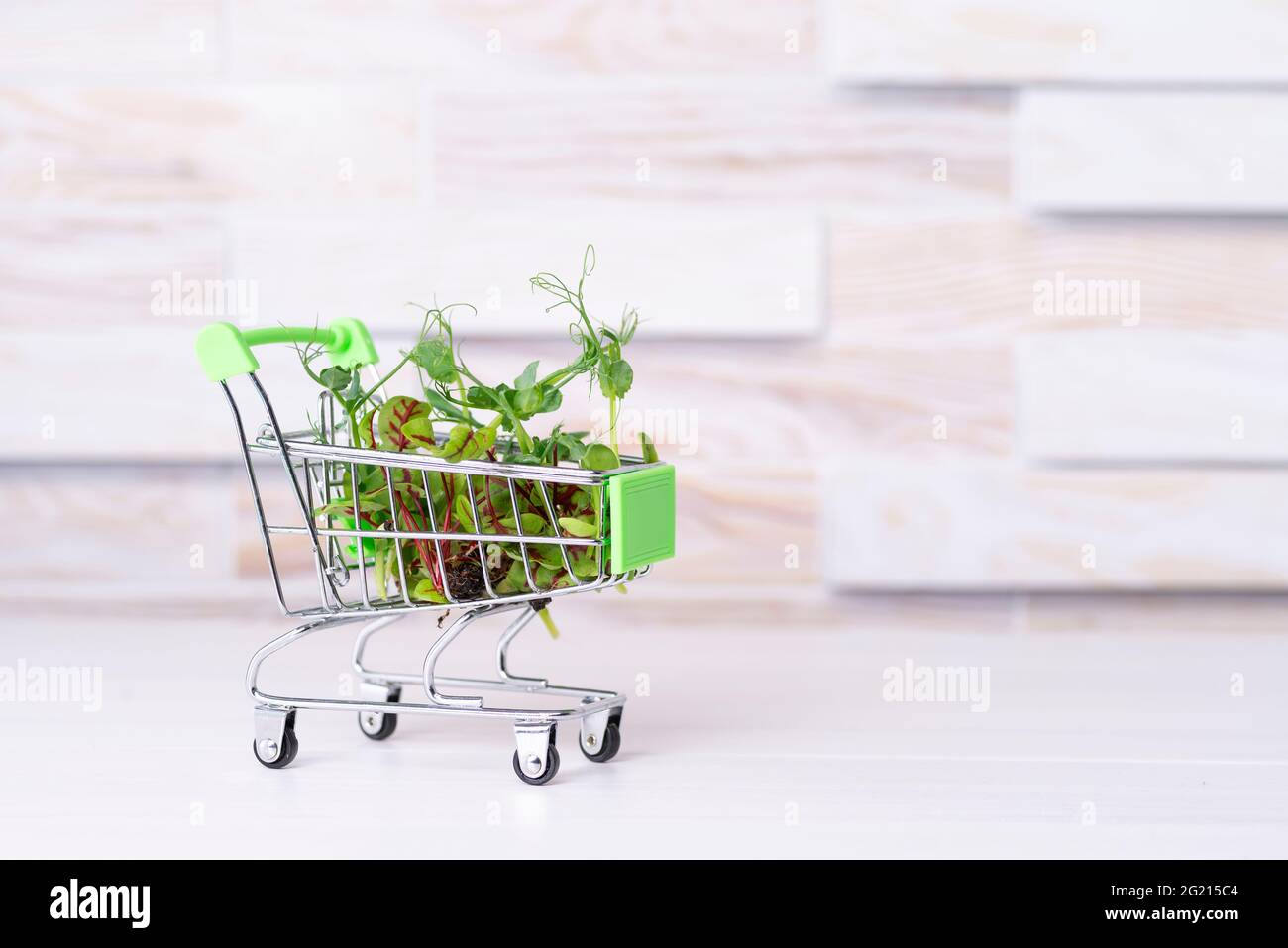 Frisches Eco Greens Lieferkonzept, junge Microgreens in einem Korb auf grauem Hintergrund. Stockfoto