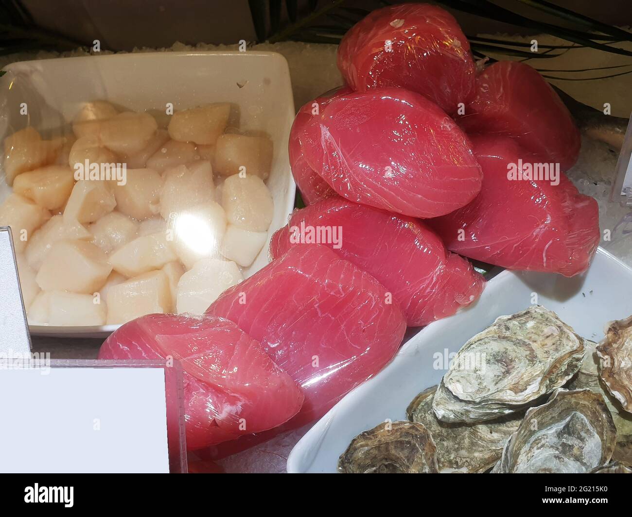 Rotes Fleisch von Thunfisch und großen Austern auf der Vitrine ( colf ) im Supermarkt in der Innenstadt von Moskau Stockfoto