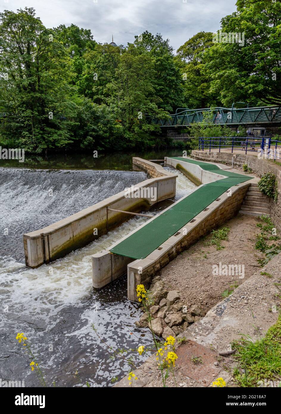 Ein Fischpass am Ufer des Flusses Aire in Saltaire, Yorkshire, England. Stockfoto