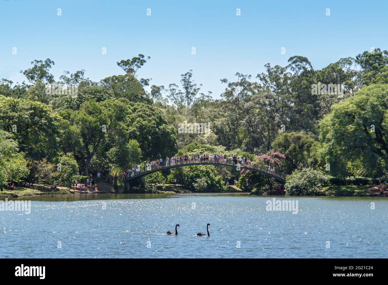 Ibirapuera Park an einem Sommertag, Sao Paulo, SP Brasilien Stockfoto
