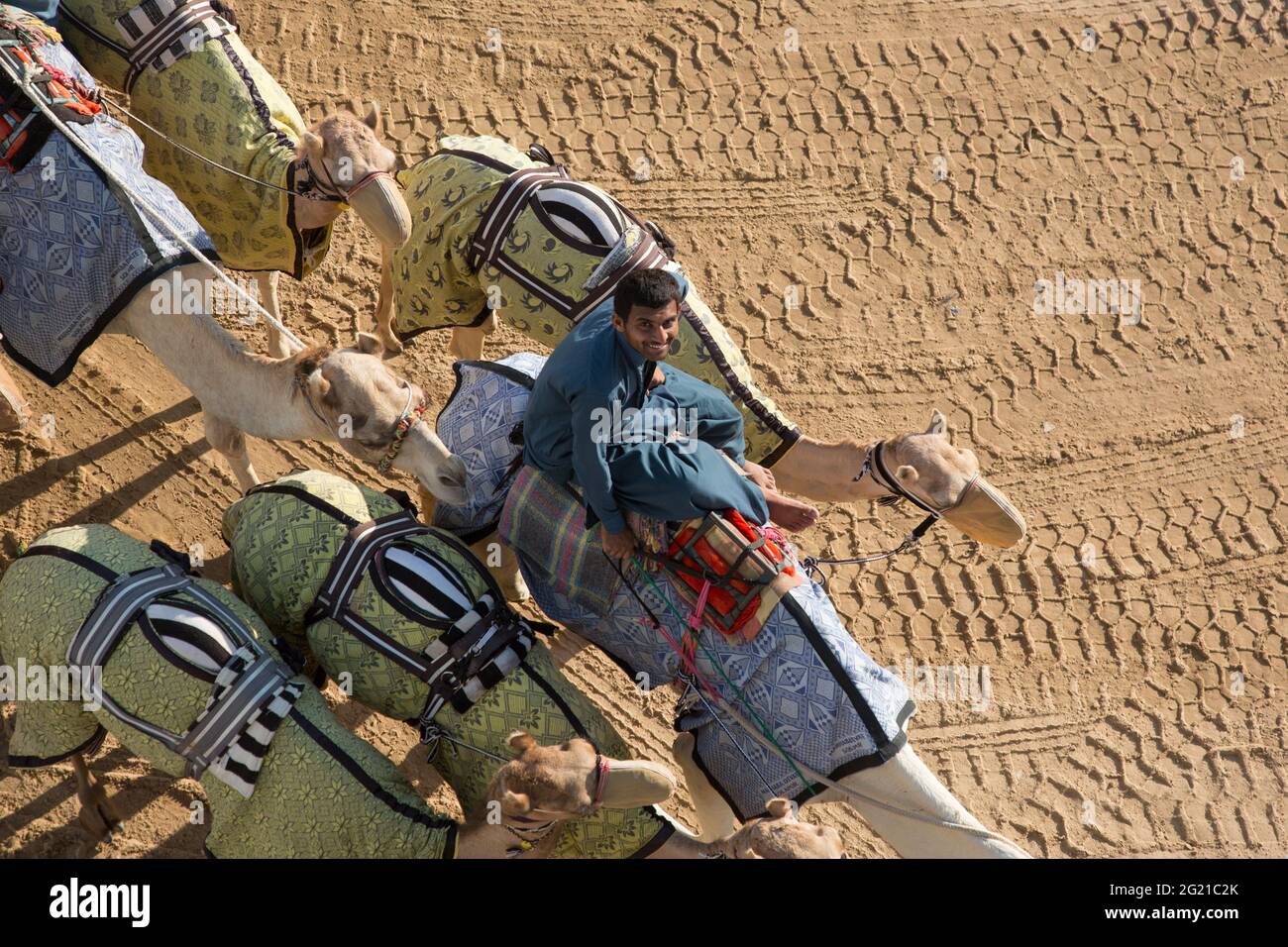 Ein junger pakistanischer Jockey trainiert junge Kamele auf der Dubai Camel Race Track in Dubai, VAE Stockfoto