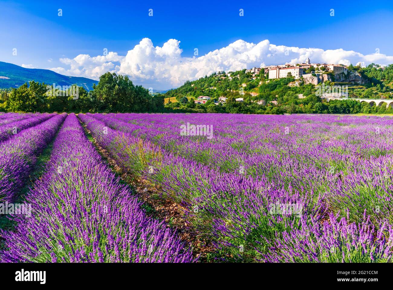 Sault, Provence - landschaftlich schönes Dorf auf einem Hügel mit Lavendelfeldern, Sommerurlaub in Frankreich Stockfoto