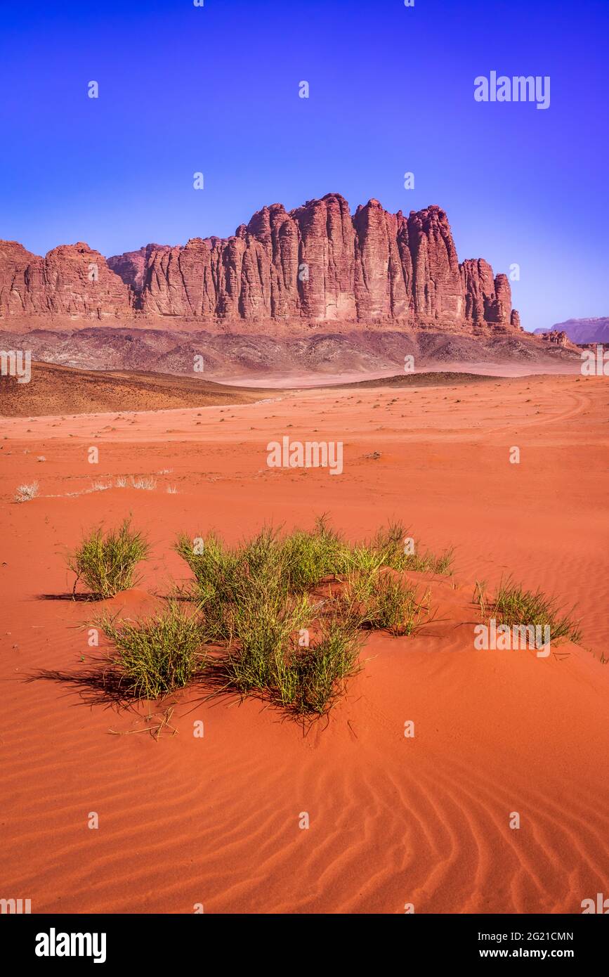 Wadi Rum, Jordanien. Tal des Mondes und Berg El Qattar, Arabienwüste. Asien Reisehintergrund. Stockfoto