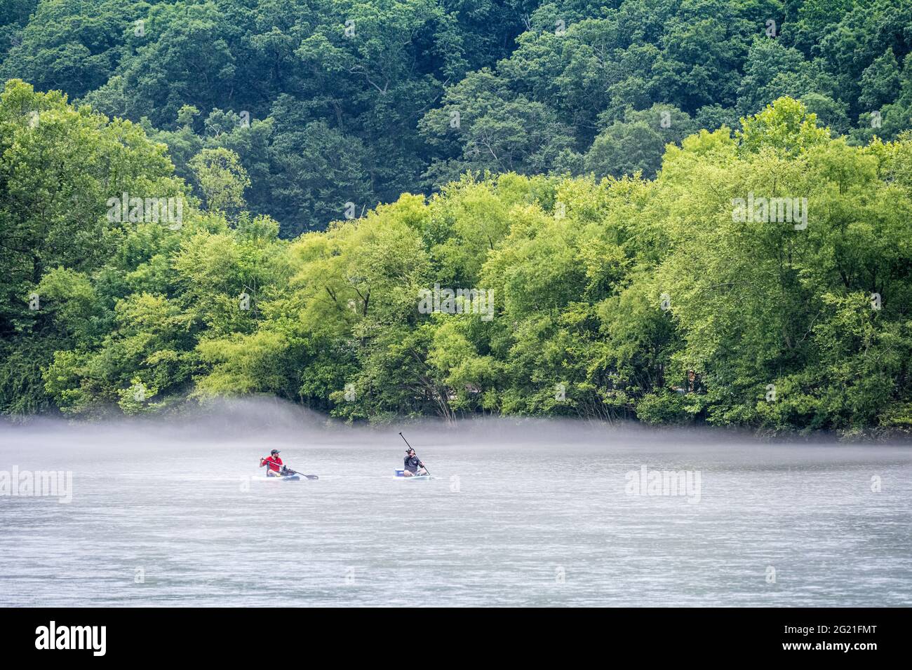 Paddelboarder auf dem Chattahoochee River in Roswell, Georgia, während aufsteigender Flußnebel an der Wasseroberfläche entlang rollt. (USA) Stockfoto