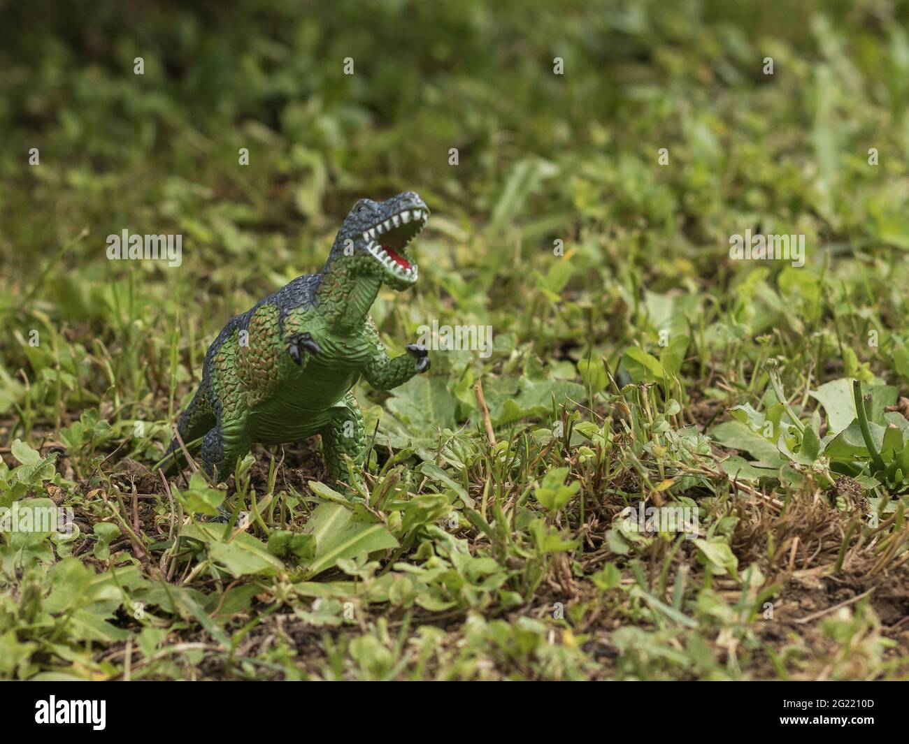 Stellen Sie ein Porträt des Spielzeug-Dinosauriers auf einem grünen natürlichen Hintergrund ein Stockfoto