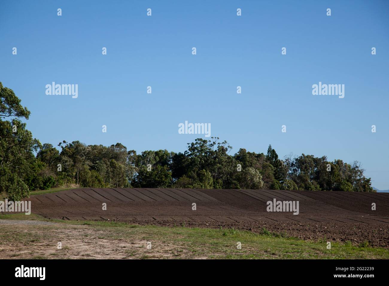 Ein frisch gepflügeltes Feld, das bereit ist, Zuckerrohr im tropischen Norden von Queensland anzupflanzen. Stockfoto