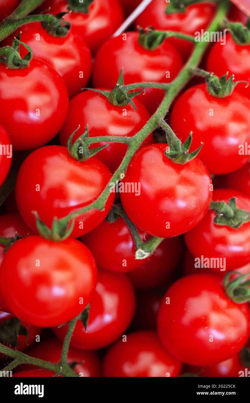 Weintomaten auf dem Cazals sonntagsmarkt erhältlich Stockfoto